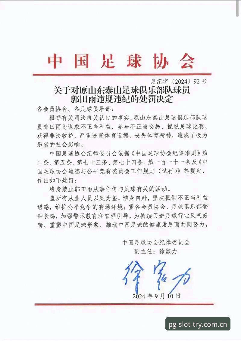 PG电子官网入口哪个好 中国足协第三批禁足名单全面解析:从行业乱象到治理新路径的深度思考